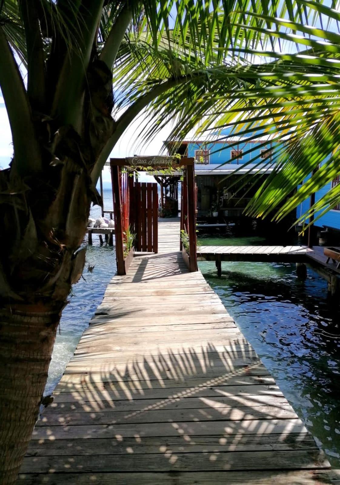 Casa Acuario Boutique Hotel Bocas Town Exterior foto