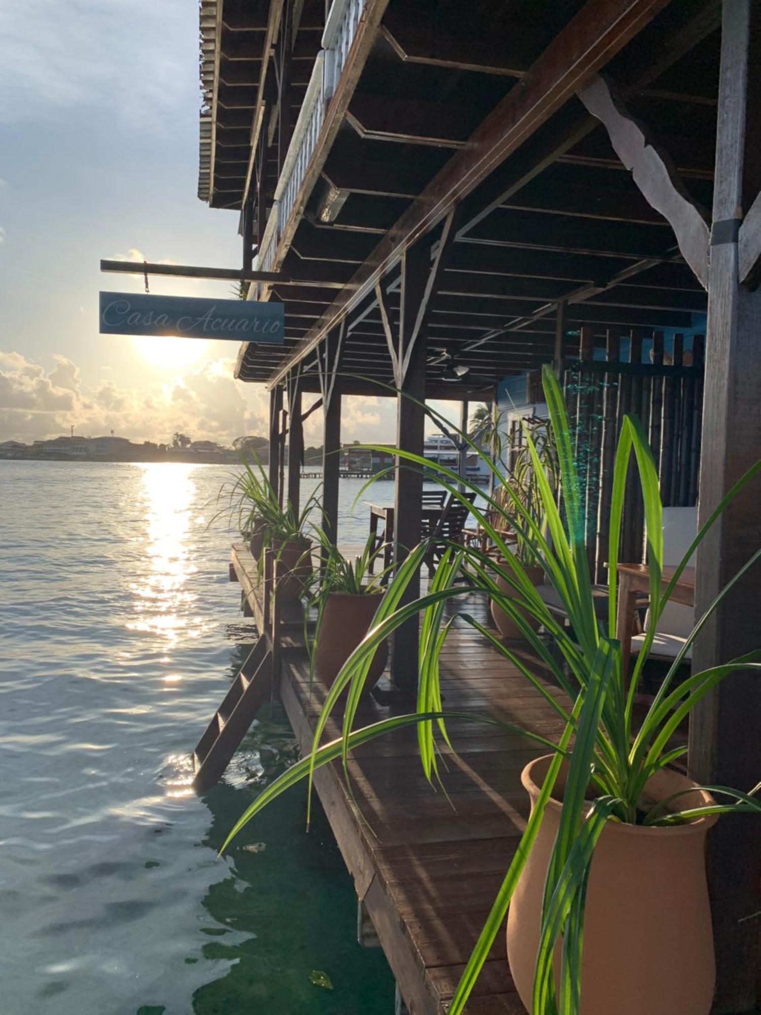 Casa Acuario Boutique Hotel Bocas Town Exterior foto